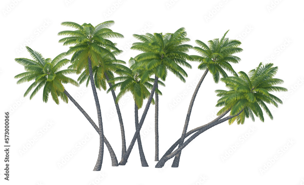 Obraz premium Palm tree set isolated transparent background 