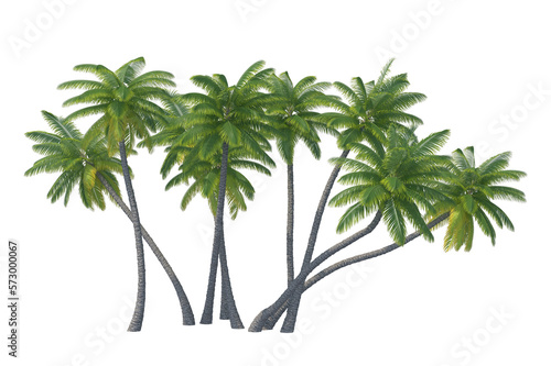 Palm tree set isolated transparent background
