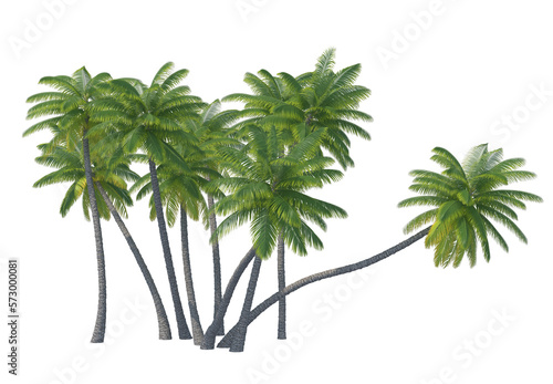 Palm tree set isolated transparent background 