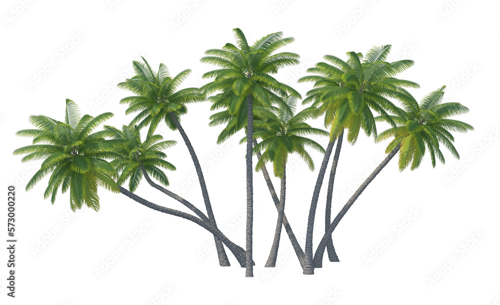 Obraz premium Palm tree set isolated transparent background 