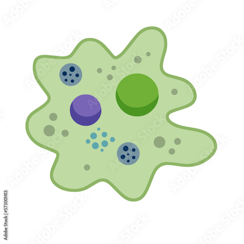 Amoeba cell. Small unicellular animal. Virus and bacteria. Education and science. Flat cartoon illustration