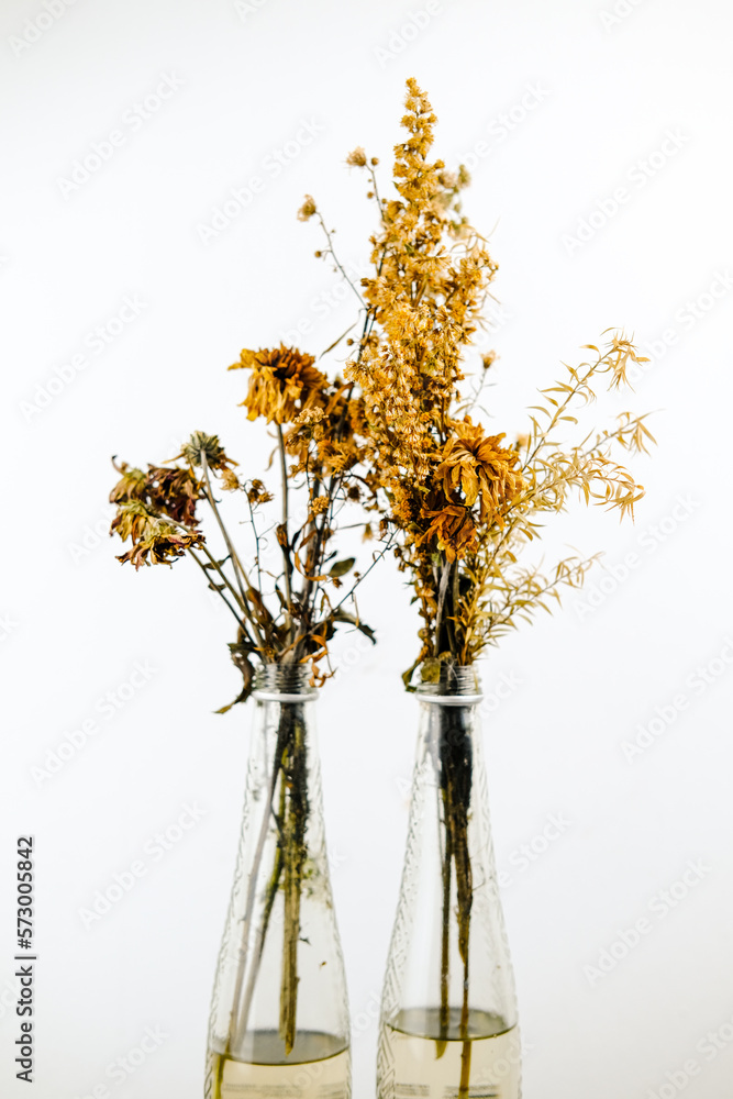 Fototapeta premium dried flowers in glass bottles, dried flowers in vase, bouquet of yellow flowers, autumn leaves in a vase, dried flowers on a white background