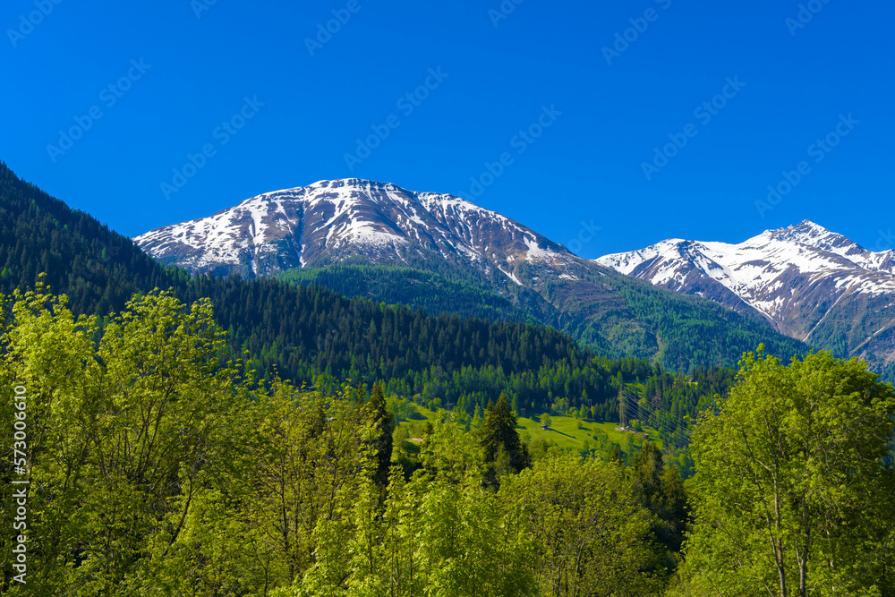 Obraz premium Alp mountains with forest and fields, Fiesch, Goms, Wallis, Valais Switzerland