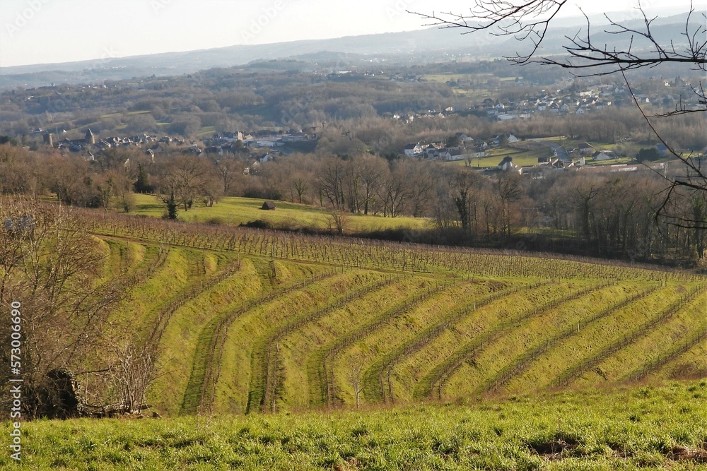 Le vignoble du Saillant (Corrèze)