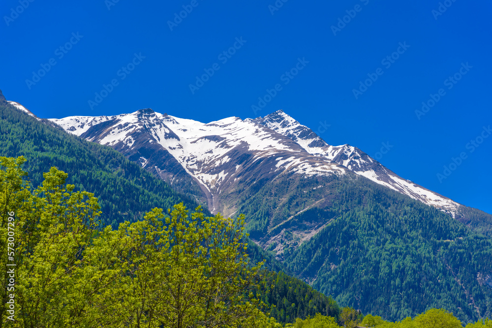 Fototapeta premium Alp mountains with forest and fields, Fiesch, Goms, Wallis, Valais Switzerland