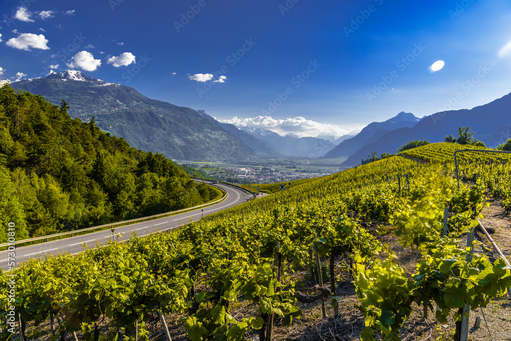 Fototapeta premium Road and vineyards in mountains, Leukerbad, Leuk, Visp, Wallis, Valais
