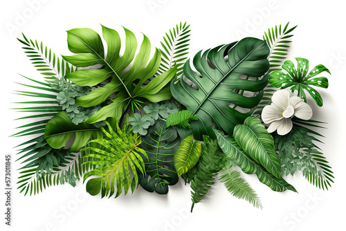Isolated jungle leaves pattern on white background.