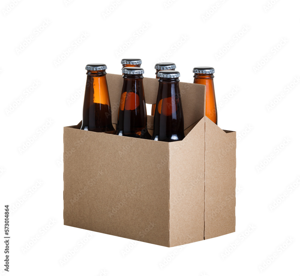 Six pack of glass bottled beer in generic brown cardboard carrier