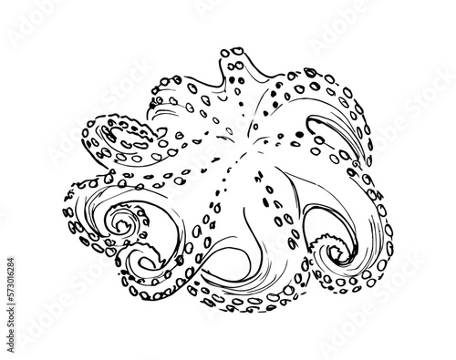 Sketch octopus. Hand drawing on a white background .Vector illustration