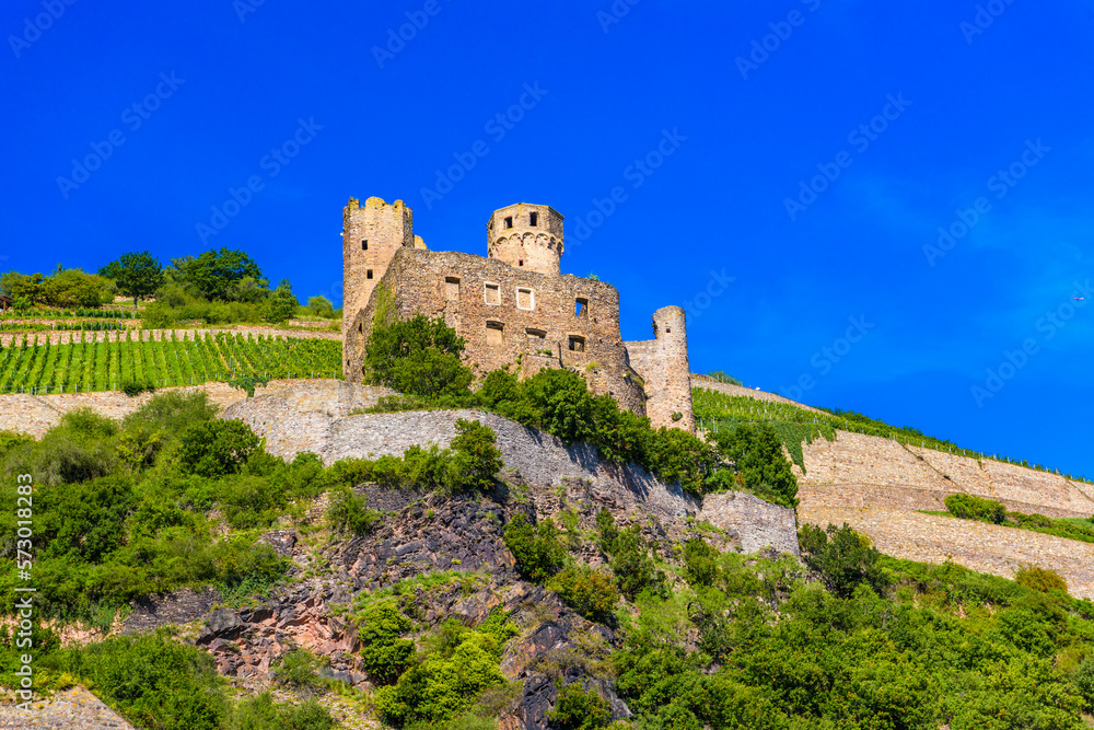Ancient German fortress, ruins of Ehrenfels castle in Ruedesheim am Rhein Rhine, Rudesheim, Rheingau-Taunus-Kreis, Darmstadt, Hessen, Germany
