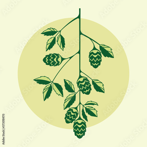 Hops plant and hop leaves isolated on yellow background