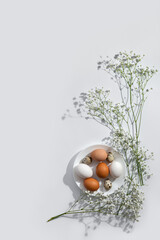 Minimalist aesthetic Easter floral decoration, natural color eggs on plate and flowers on light neutral background. Beautiful scandinavian spring card template, copy space