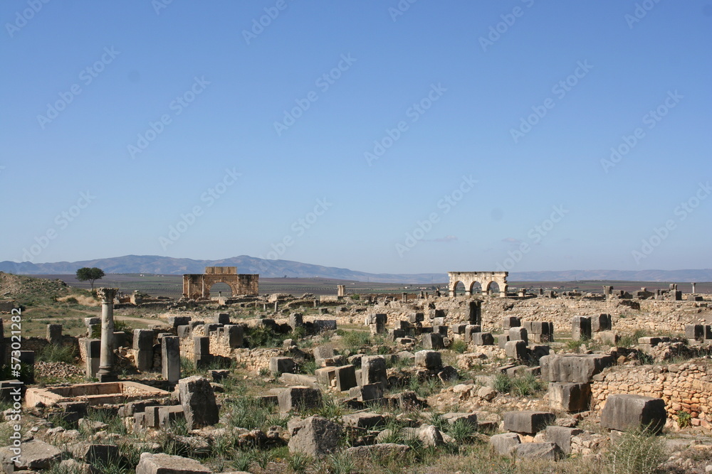 Ancient Roman ruins in Volubilis, Morocco