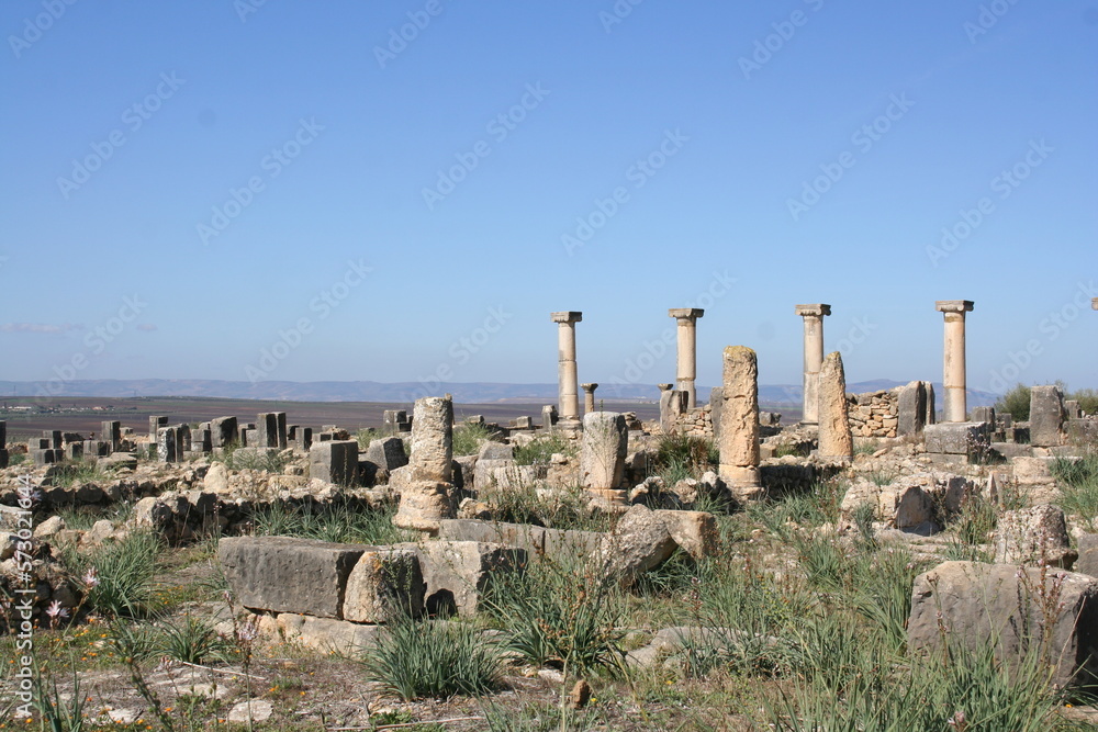 Ruins of ancient Roman city of Volubilis, Morocco