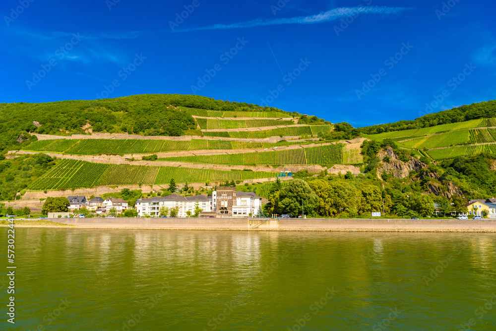 Vineyards and river in Ruedesheim Assmannshausen, Rudesheim am Rhein Rhine, Rheingau-Taunus-Kreis, Darmstadt, Hessen, Germany