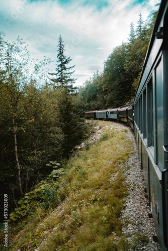 riding a train in the alpine landscape on a mountain