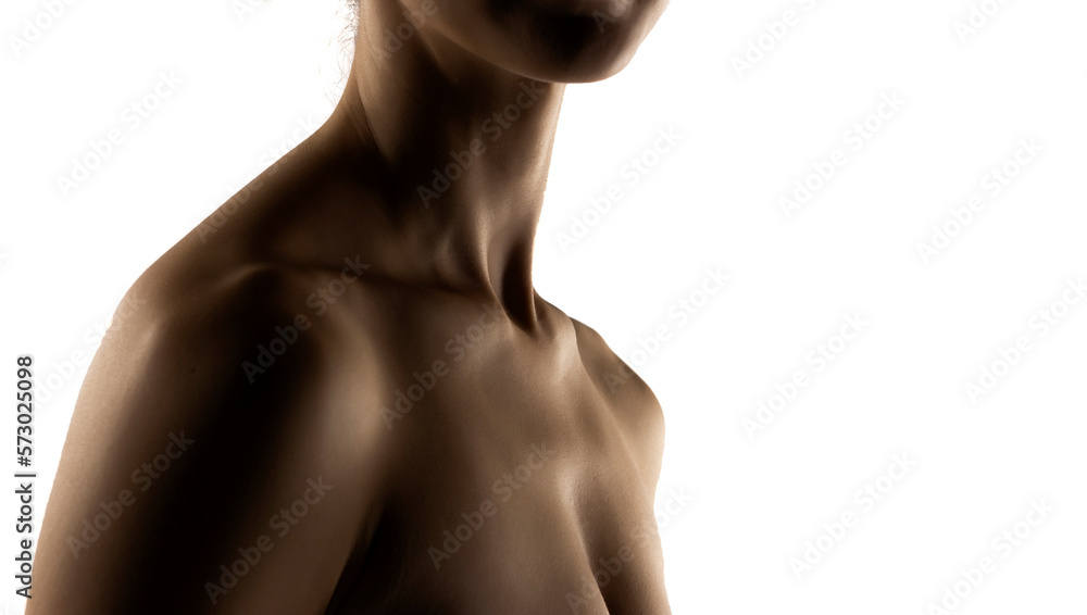 The close-up of a young woman's neck in the shadow on white background The close-up of a young woman's neck in the shadow on white background