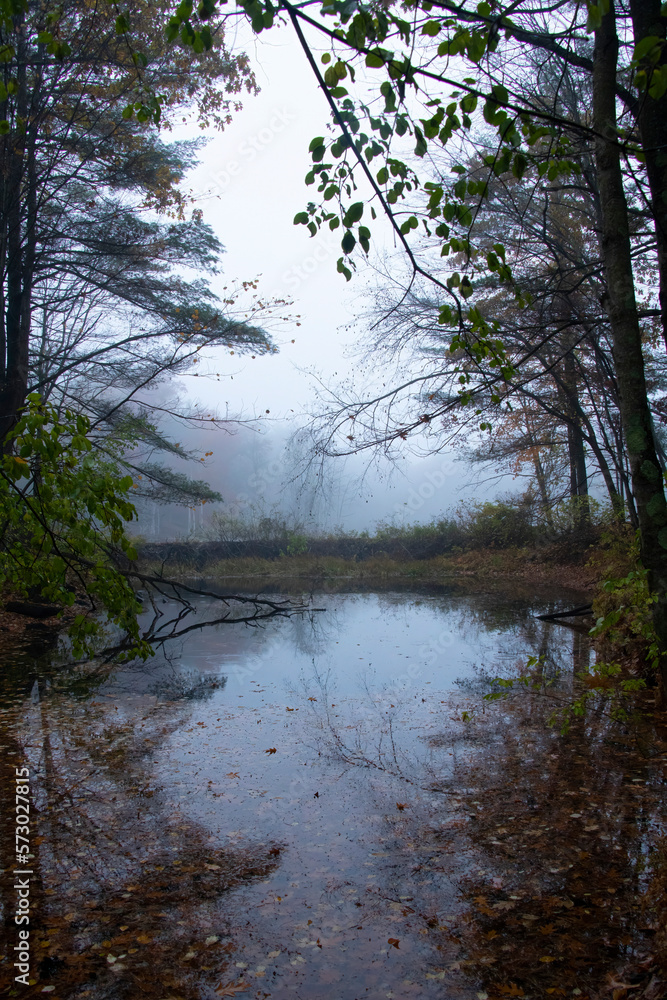 Foggy Fall on the Water