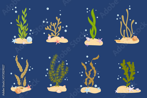Set of various cartoon seaweeds on sandy islands with shells and starfish. Vector graphics.