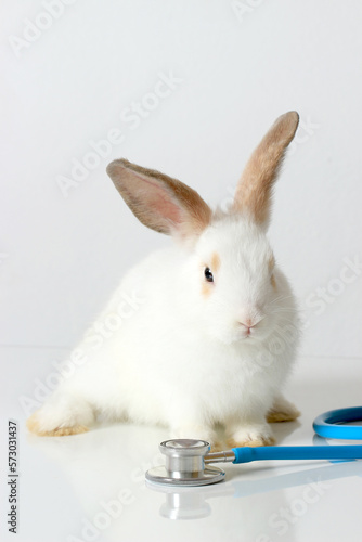 Cute white rabbit with long brown ears with doctor stethoscope veterinary on white background  sick and injured bunny pet has check-up at a vet clinic  adorable bunny medical equipment and pat concept
