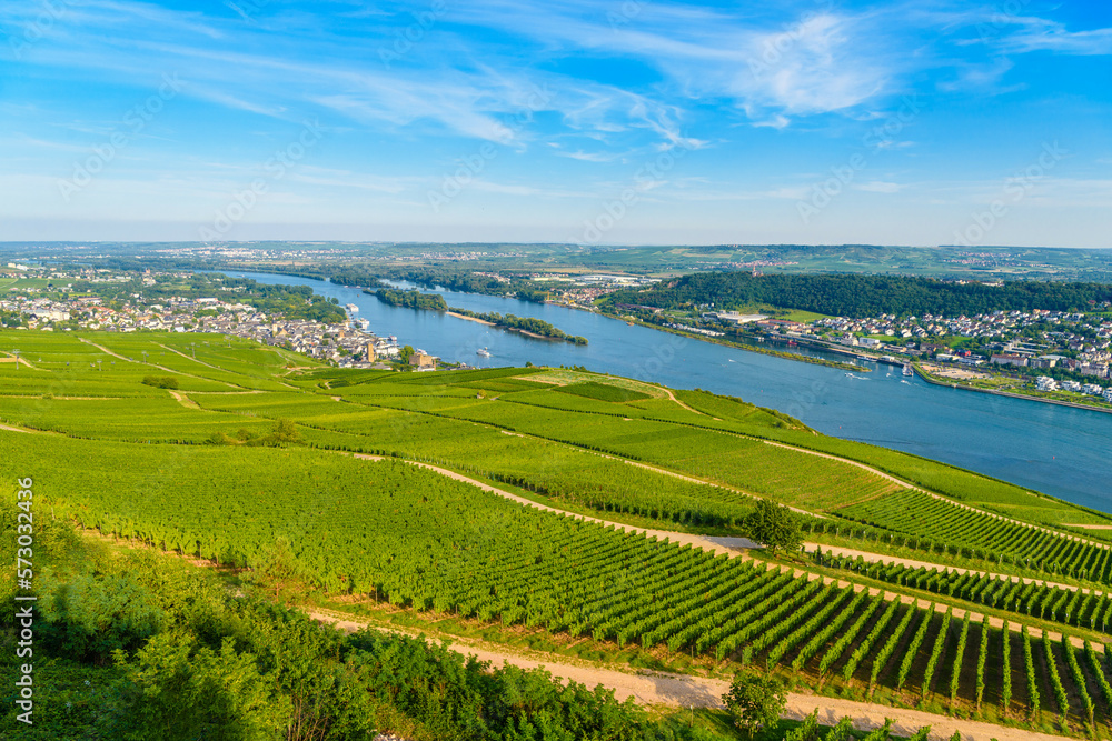 Areial view on vineyards and river near Ruedesheim am Rhein Rhine, Rudesheim, UNESCO World Heritage Site, Rheingau-Taunus-Kreis, Darmstadt, Hessen, Germany