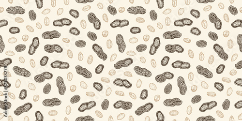 Wallpaper Mural Vector peanut shells and seeds seamless pattern Torontodigital.ca