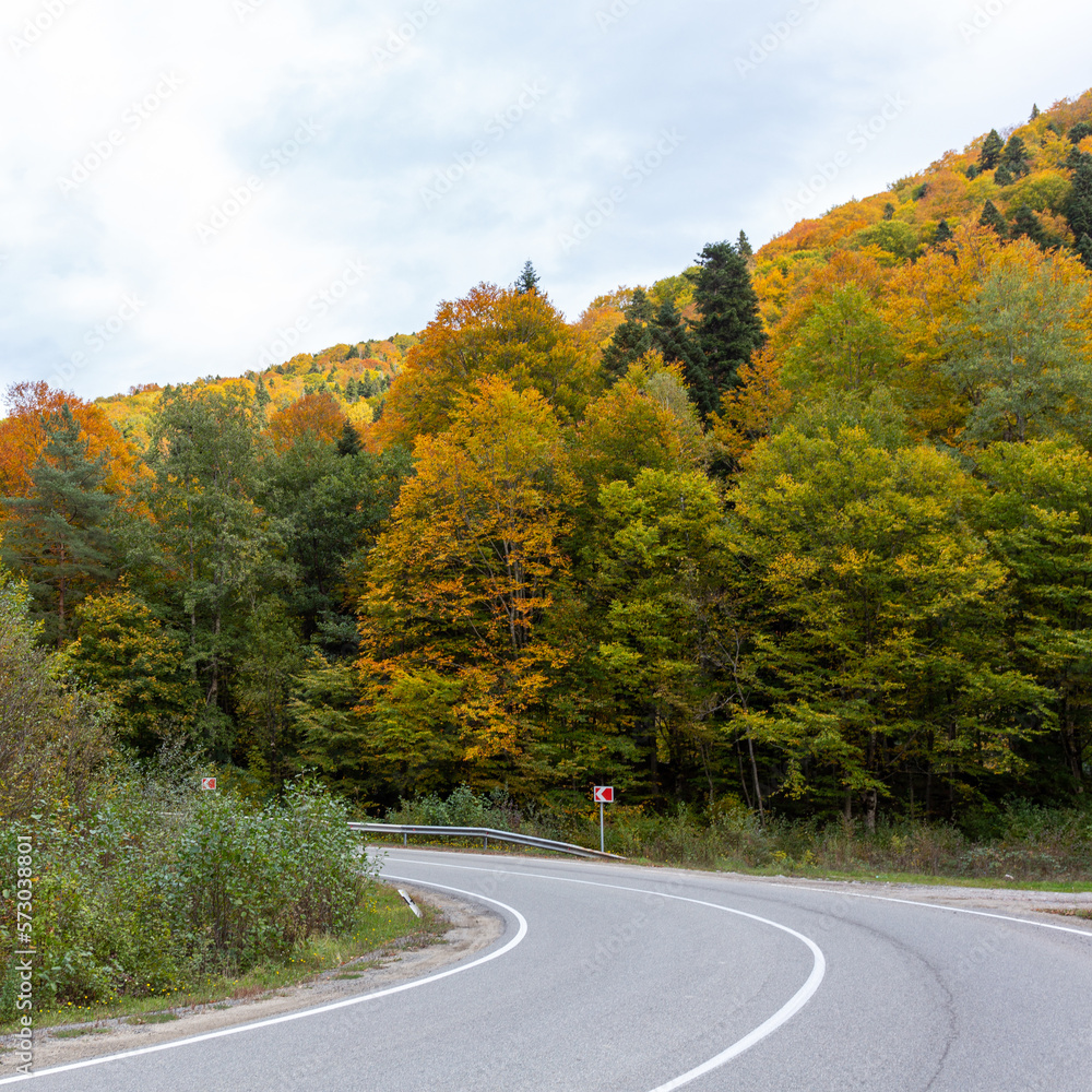 autumn in the highlands, the road winding through the autumn forest admiring all the colors of nature.