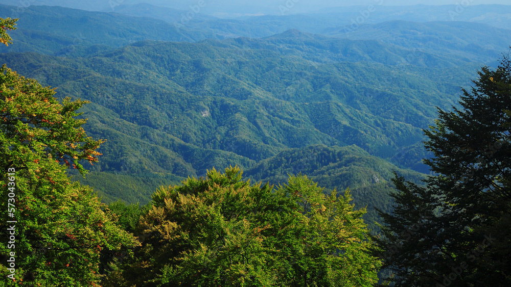 Top view above the hills of Capatanii Mountains. A beech forest has autumn specific colors. Carpathia, Romania. Top view above the hills of Capatanii Mountains. A beech forest has autumn specific colors. Carpathia, Romania.