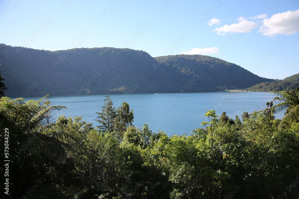 Lake and the trees