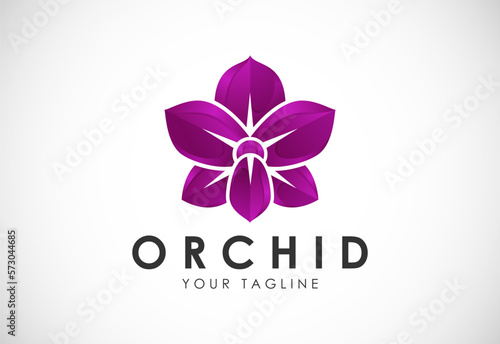 Colorful Orchid flower logo design template vector