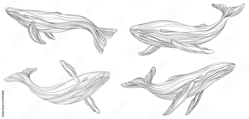 Abstract whales floating underwater. Illustration isolated animal on white background. Ocean mammal swimming set. Abstract whales floating underwater. Illustration isolated animal on white background. Ocean mammal swimming set.