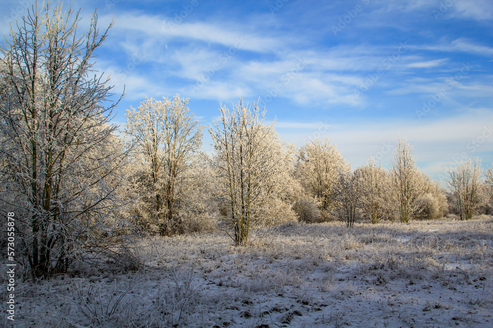 Mit Rauhreif überzogene Büme in einer kalten Winterlandschaft.
Mit Rauhreif überzogene Büme in einer kalten Winterlandschaft.