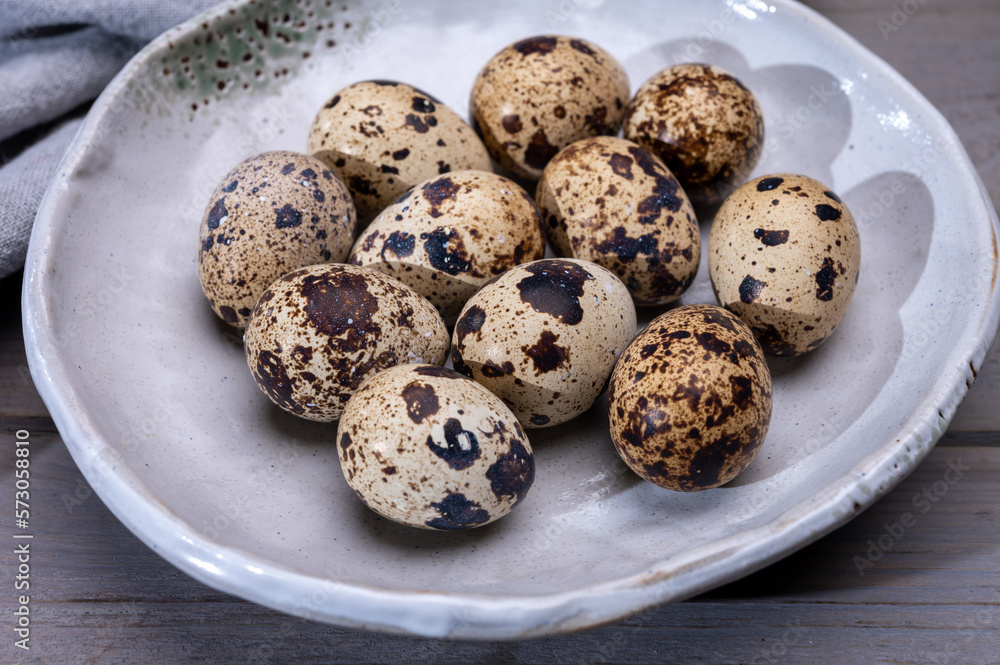 Fresh small spotted partridge or quail bird eggs Fresh small spotted partridge or quail bird eggs