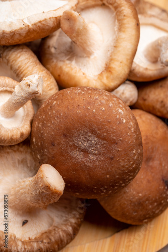 Fresh brown Lentinula edodes or shiitake edible mushrooms