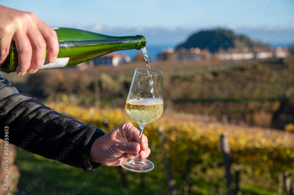 Fototapeta premium Pouring of txakoli or chacolí slightly sparkling very dry white wine produced in Spanish Basque Country on vineyards in Getaria in autumn, Spain