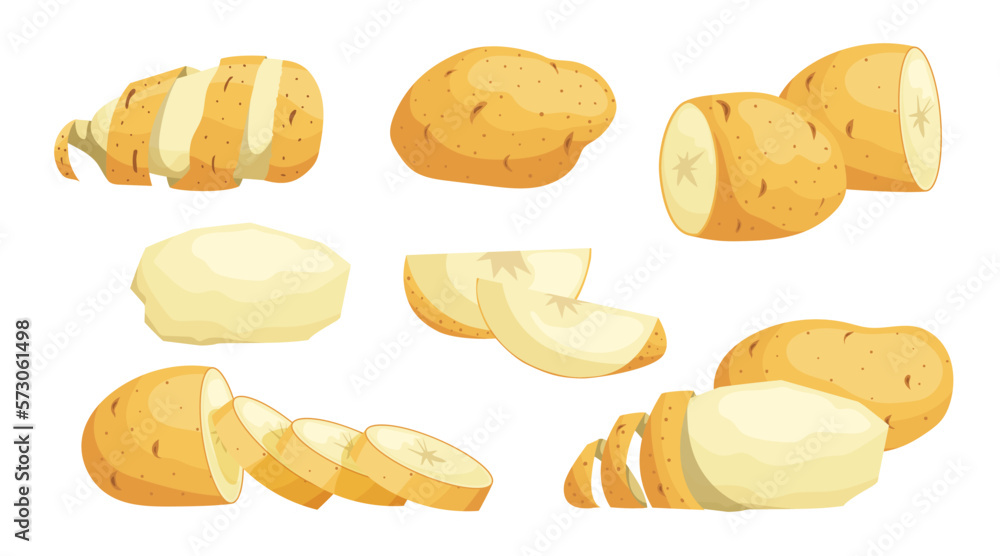 Fresh Raw Whole and Sliced Potatoes set. Eco vegetables collection. Best for farm market, menu designs. Vector illustrations. Fresh Raw Whole and Sliced Potatoes set. Eco vegetables collection. Best for farm market, menu designs. Vector illustrations.