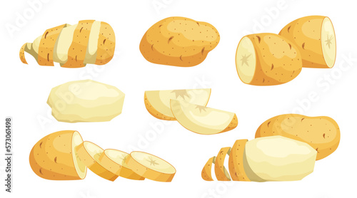 Fresh Raw Whole and Sliced Potatoes set. Eco vegetables collection. Best for farm market, menu designs. Vector illustrations.