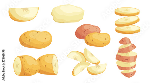 Fresh Raw Whole and Sliced Potatoes set. Eco vegetables collection. Best for farm market, menu designs. Vector illustrations.