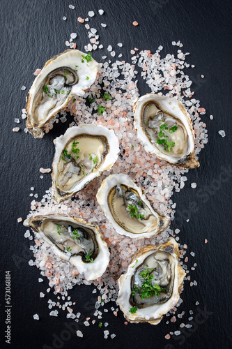 Photography Fresh Australian Sydney rock oysters served with garlic and salt as top view on