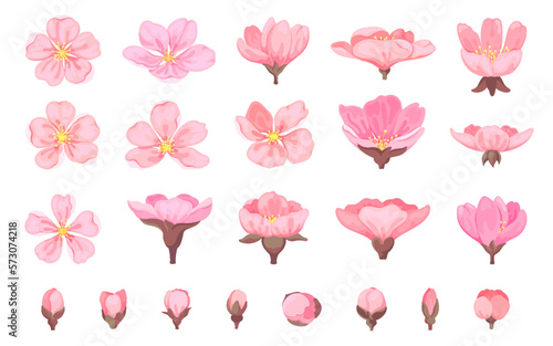 Cherry blossom flower sakura bud floral flat set. Element spring season japanese chinese plant wedding love summer decoration sticker tropical fashion blooming garden many shape petal bouton isolated