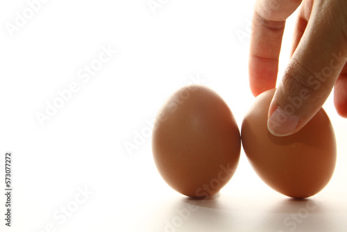 Chicken egg is a main component of the human diet serving as a dietary source of protein, fat, and other nutrients
