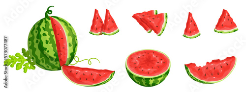 Set of ripe juicy watermelon berries and pieces of summer fruits.Cartoon vector graphics.