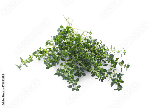 Bunch of aromatic thyme isolated on white. Fresh herb