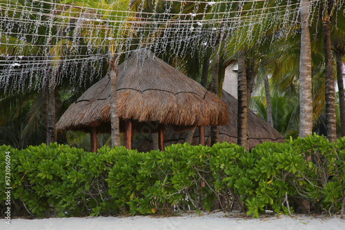 Beautiful green shrubs and palm trees near straw canopies on sandy beach photo