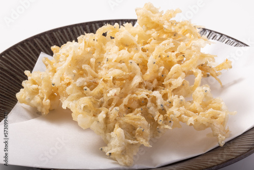 Valokuva しらすの天麩羅