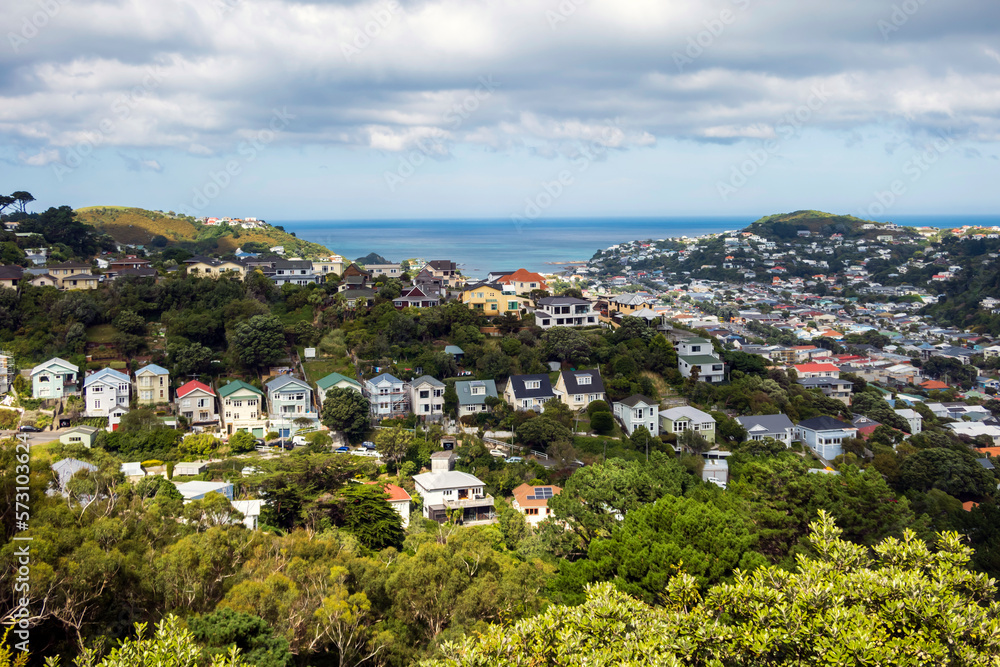 View from the top of Island Bay in Wellington, New Zealand