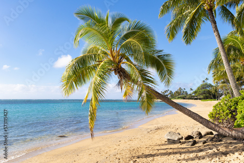 Fototapeta Naklejka Na Ścianę i Meble -  Perfect palm tree overhanging a tropical beach in paradise
