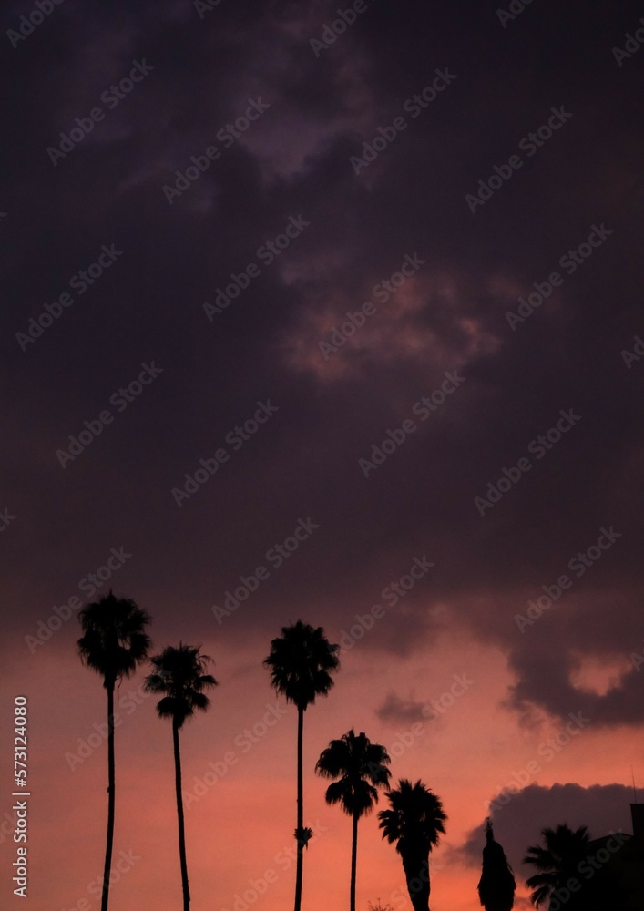 Atardecer morado con silueta