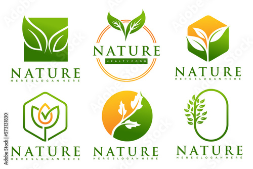 natural product icon set logo design