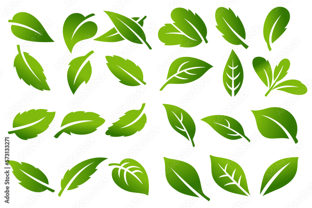 Naklejka premium Tree leaf vector icon set logo design, eco-friendly concept